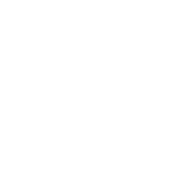 georgia pacific